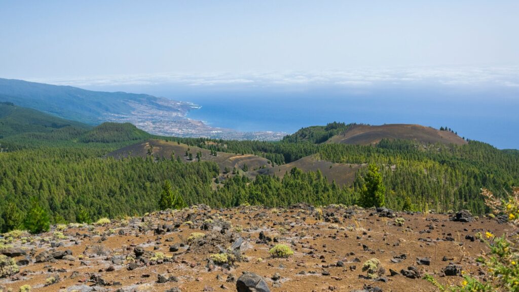 üppige Naturlandschaft auf La Palma