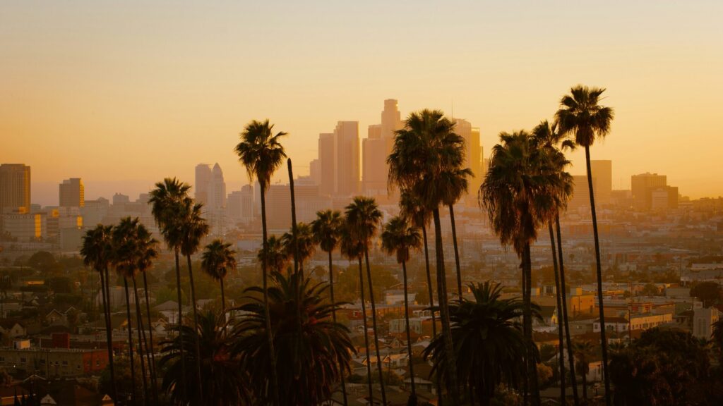 Blick auf Los Angeles bei Sonnenuntergang mit Palmen und einigen Hochhäusern