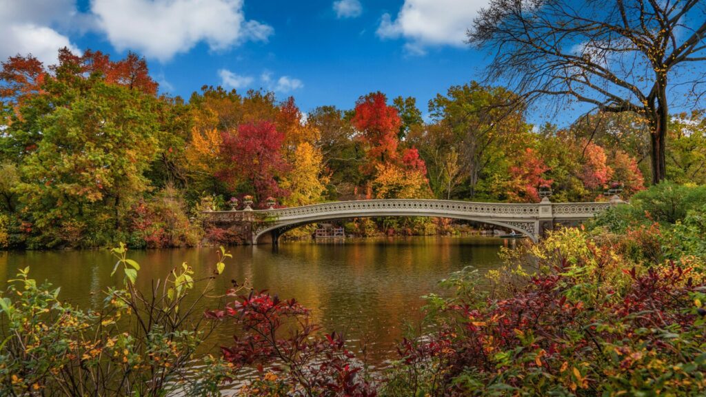 Central Park im Herbst, idyllische Atmosphäre mit bunten Blättern