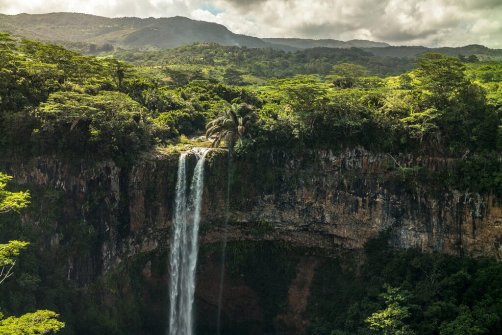 Wasserfall inmitten von Bäumen