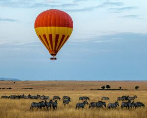 Zebras in freier Wildbahn mit einem roten Heißluftballon in der Luft darüber
