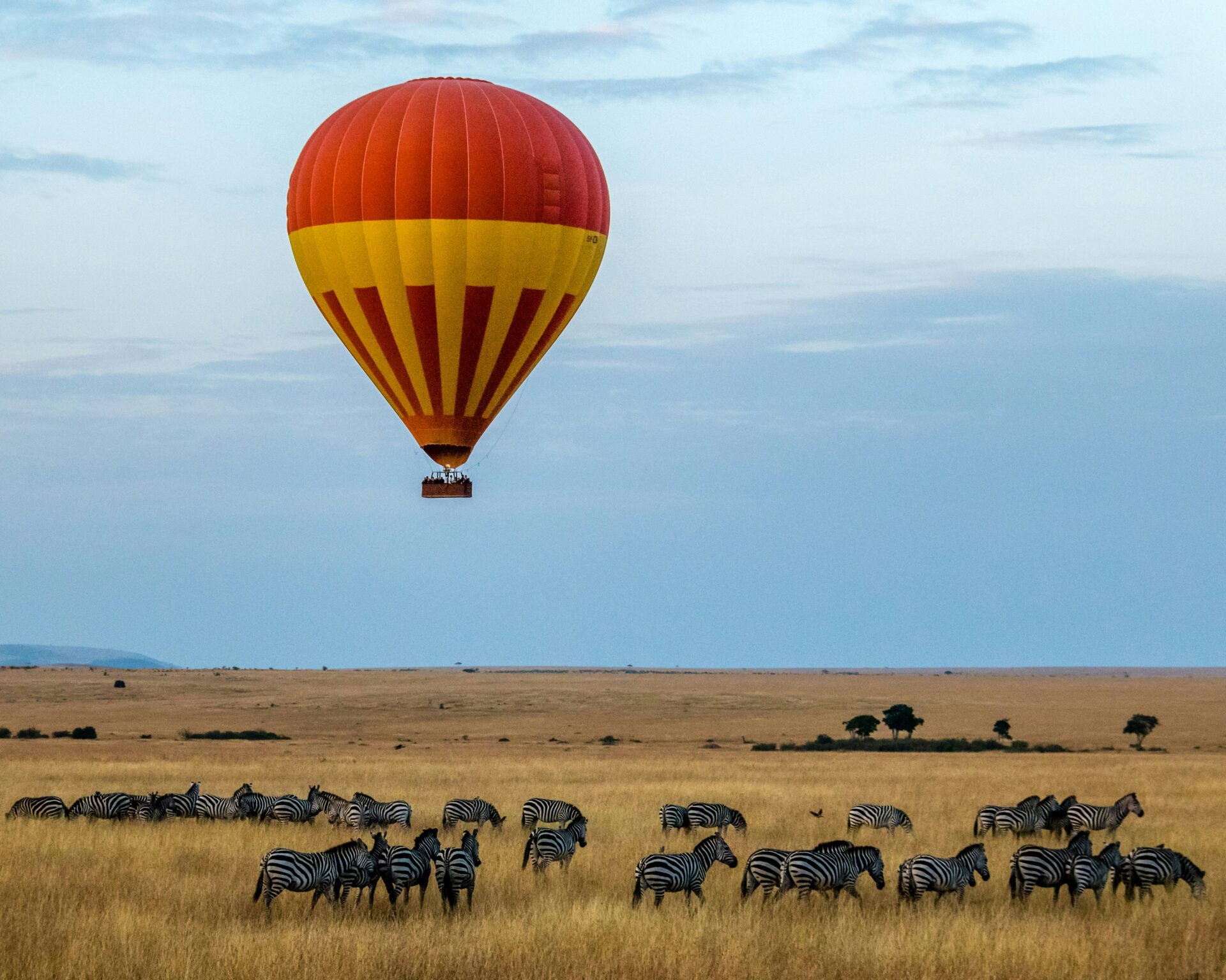 Kenia – unvergessliche Abenteuer auf Safari